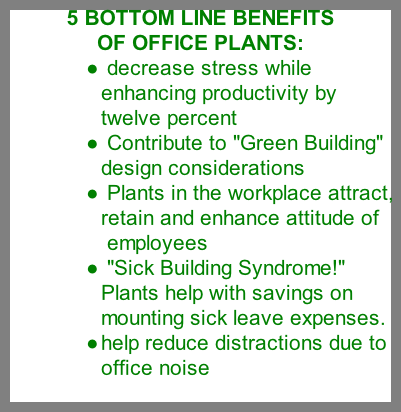 office plants benefits